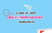 Tính chất hóa học, tính chất vật lí của Halogen? Trạng thái tự nhiên, Cấu tạo nguyên tử Halogen? Hóa 10 bài 21 KNTT